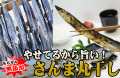 ����޴ݴ���