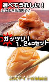 ���䳫�ϡ����٤�Ĥ֤���1,2�륻�å�