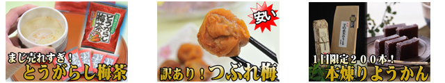 �ɤ����˹�������Ƥ��뾦��