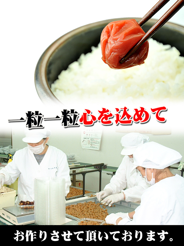 �;夲���ε�������ߤϺ����㤤�ɤ��Ǥ�