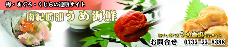 �ߴ������� ����Ź ���᳤�� ����������