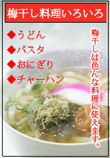 �ߴ����쥷��������������