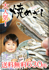 �񻺤��路���ѤξƤ��ᤶ������������̵��