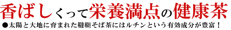 ごぼう茶を通販で販売する和歌山のうめ海鮮