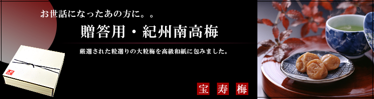 紀州 南高梅 宝寿梅 20粒 個包装（大粒サイズ4L以上 Ａ級品）塩分10％ 梅干し 【ギフト】 送料無料