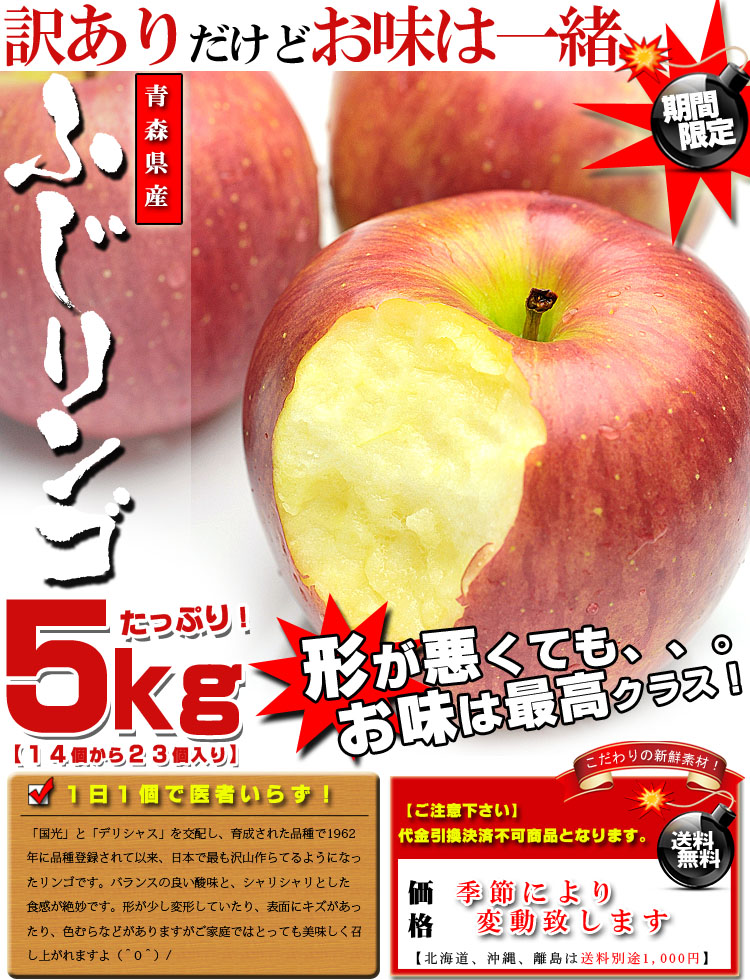 青森県産 ふじりんご お徳用 5kg